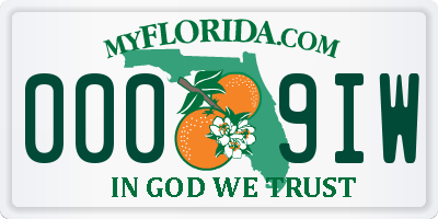 FL license plate 0009IW