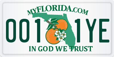 FL license plate 0011YE