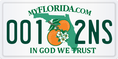 FL license plate 0012NS