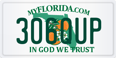 FL license plate 306QUP