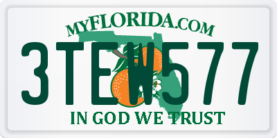 FL license plate 3TEW577