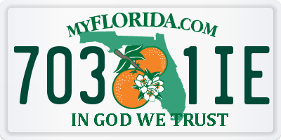 FL license plate 7031IE