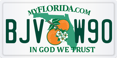 FL license plate BJVW90