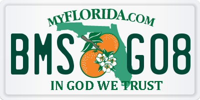 FL license plate BMSG08