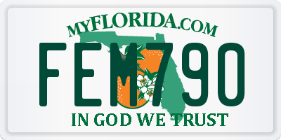FL license plate FEM790