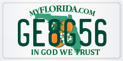 FL license plate GE8G56