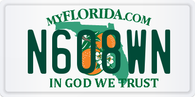 FL license plate N608WN