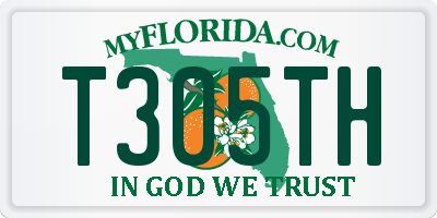 FL license plate T305TH