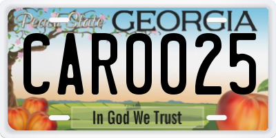 GA license plate CAR0025