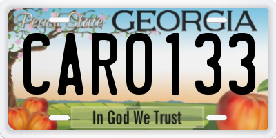 GA license plate CAR0133