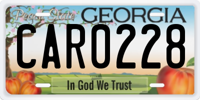 GA license plate CAR0228