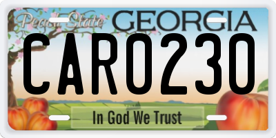 GA license plate CAR0230