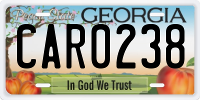 GA license plate CAR0238
