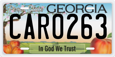 GA license plate CAR0263