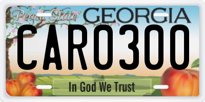 GA license plate CAR0300