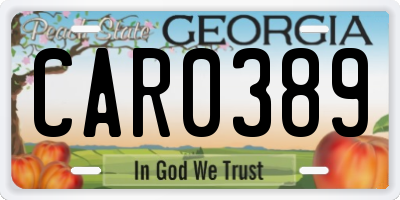 GA license plate CAR0389