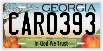 GA license plate CAR0393