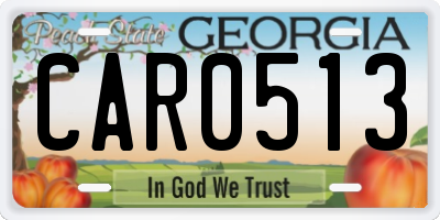GA license plate CAR0513