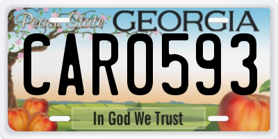 GA license plate CAR0593