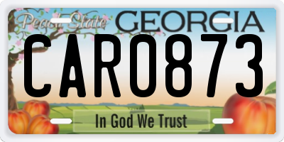 GA license plate CAR0873