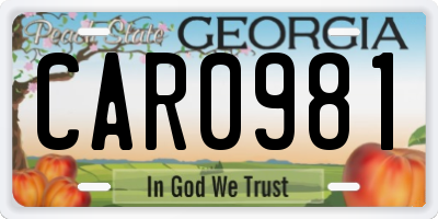 GA license plate CAR0981