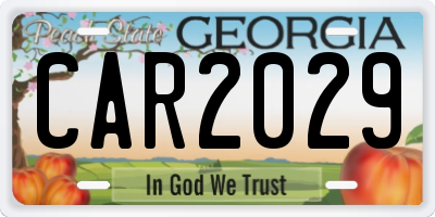 GA license plate CAR2029