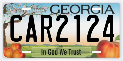 GA license plate CAR2124