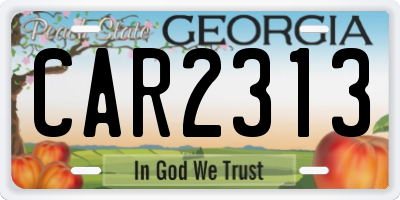GA license plate CAR2313