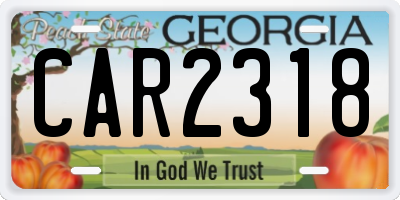 GA license plate CAR2318