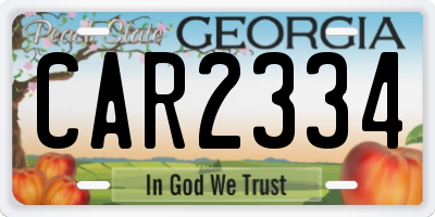GA license plate CAR2334