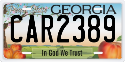 GA license plate CAR2389