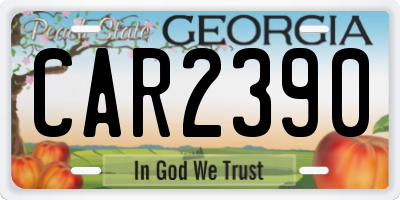 GA license plate CAR2390