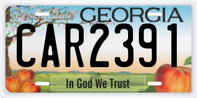 GA license plate CAR2391