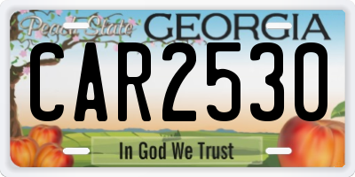 GA license plate CAR2530