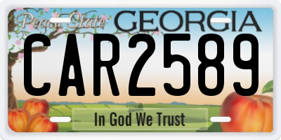 GA license plate CAR2589
