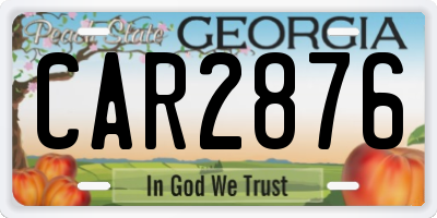 GA license plate CAR2876
