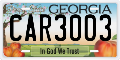 GA license plate CAR3003
