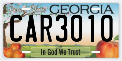 GA license plate CAR3010
