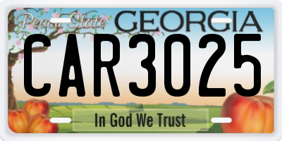 GA license plate CAR3025