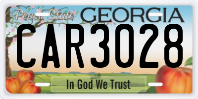 GA license plate CAR3028