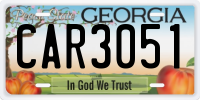 GA license plate CAR3051