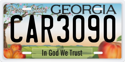 GA license plate CAR3090