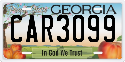 GA license plate CAR3099
