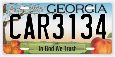 GA license plate CAR3134