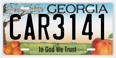 GA license plate CAR3141