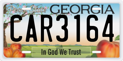 GA license plate CAR3164