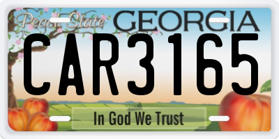 GA license plate CAR3165