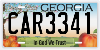 GA license plate CAR3341