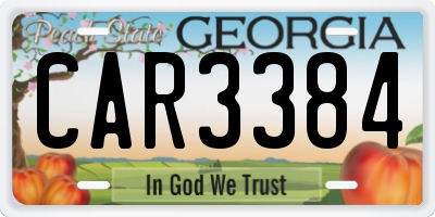 GA license plate CAR3384