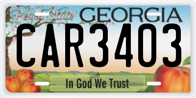 GA license plate CAR3403